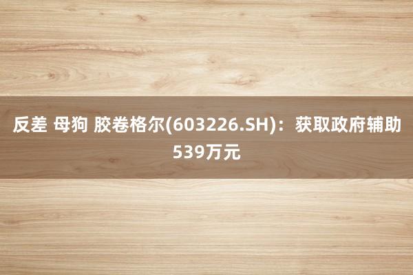 反差 母狗 胶卷格尔(603226.SH):获取政府辅助539万元