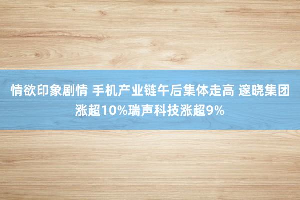 情欲印象剧情 手机产业链午后集体走高 邃晓集团涨超10%瑞声科技涨超9%