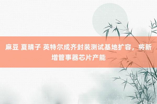 麻豆 夏晴子 英特尔成齐封装测试基地扩容，将新增管事器芯片产能