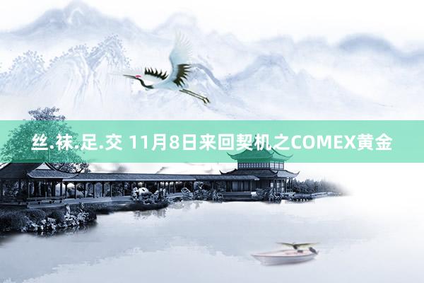 丝.袜.足.交 11月8日来回契机之COMEX黄金