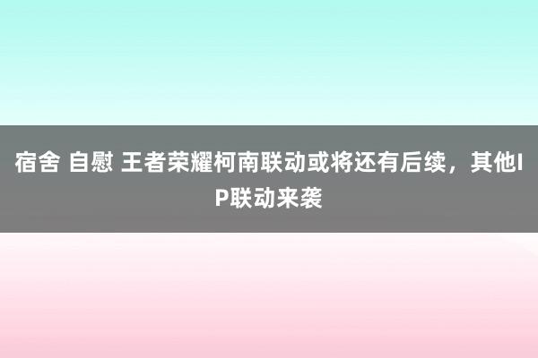 宿舍 自慰 王者荣耀柯南联动或将还有后续，其他IP联动来袭