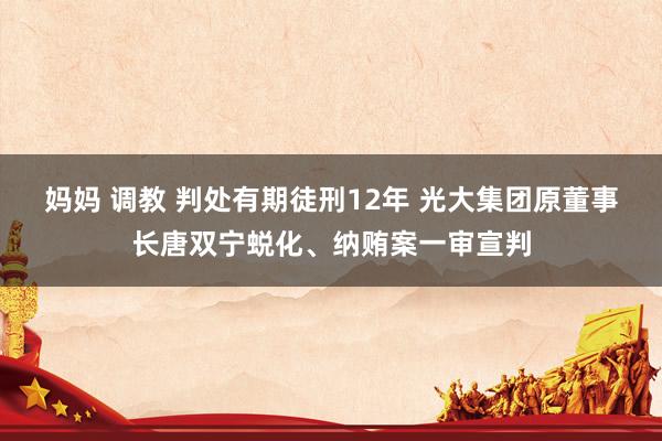 妈妈 调教 判处有期徒刑12年 光大集团原董事长唐双宁蜕化、纳贿案一审宣判