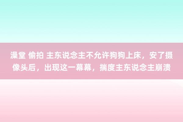 澡堂 偷拍 主东说念主不允许狗狗上床，安了摄像头后，出现这一幕幕，揣度主东说念主崩溃