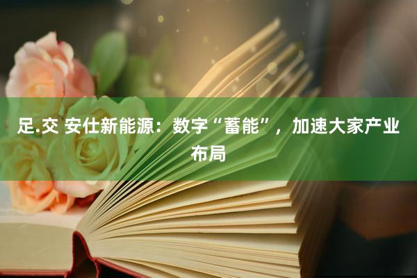 足.交 安仕新能源：数字“蓄能”，加速大家产业布局