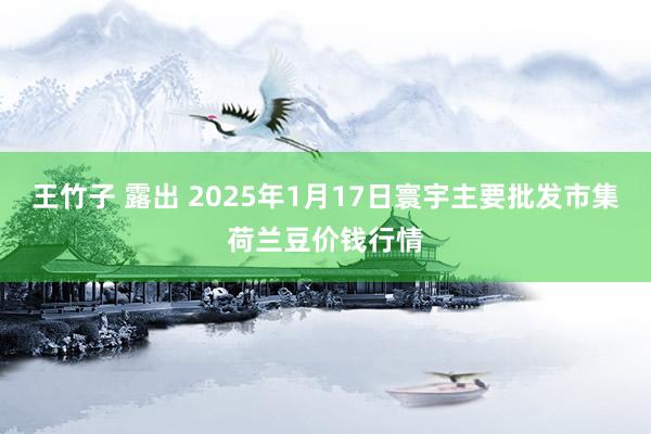 王竹子 露出 2025年1月17日寰宇主要批发市集荷兰豆价钱行情