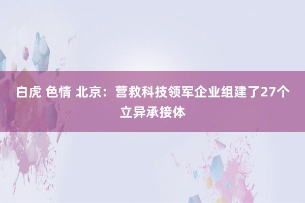 白虎 色情 北京：营救科技领军企业组建了27个立异承接体