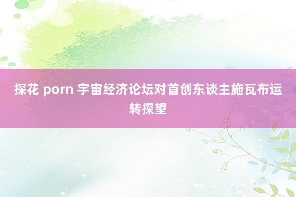 探花 porn 宇宙经济论坛对首创东谈主施瓦布运转探望